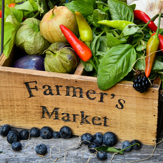 Shelburne, VT Farmers Market